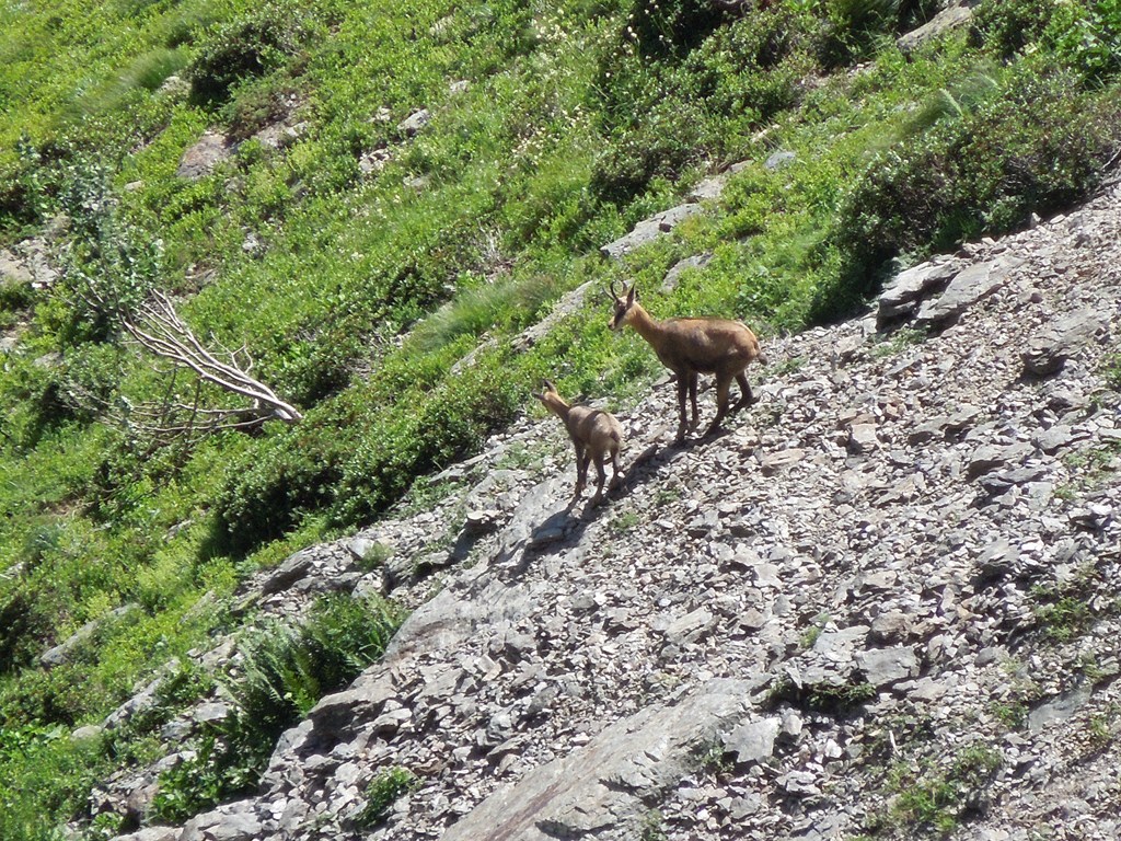 Photo Alpes Oisans Louer gite